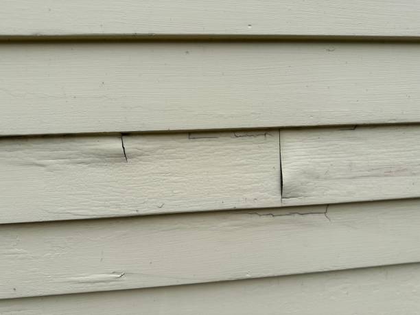 Best Fiber Cement Siding Installation  in Green River, WY