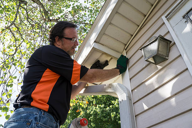 Best Historical Building Siding Restoration  in Green River, WY